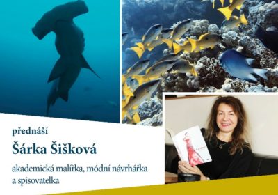 Svět potápění a psaní příběhů. Šárka Šišková